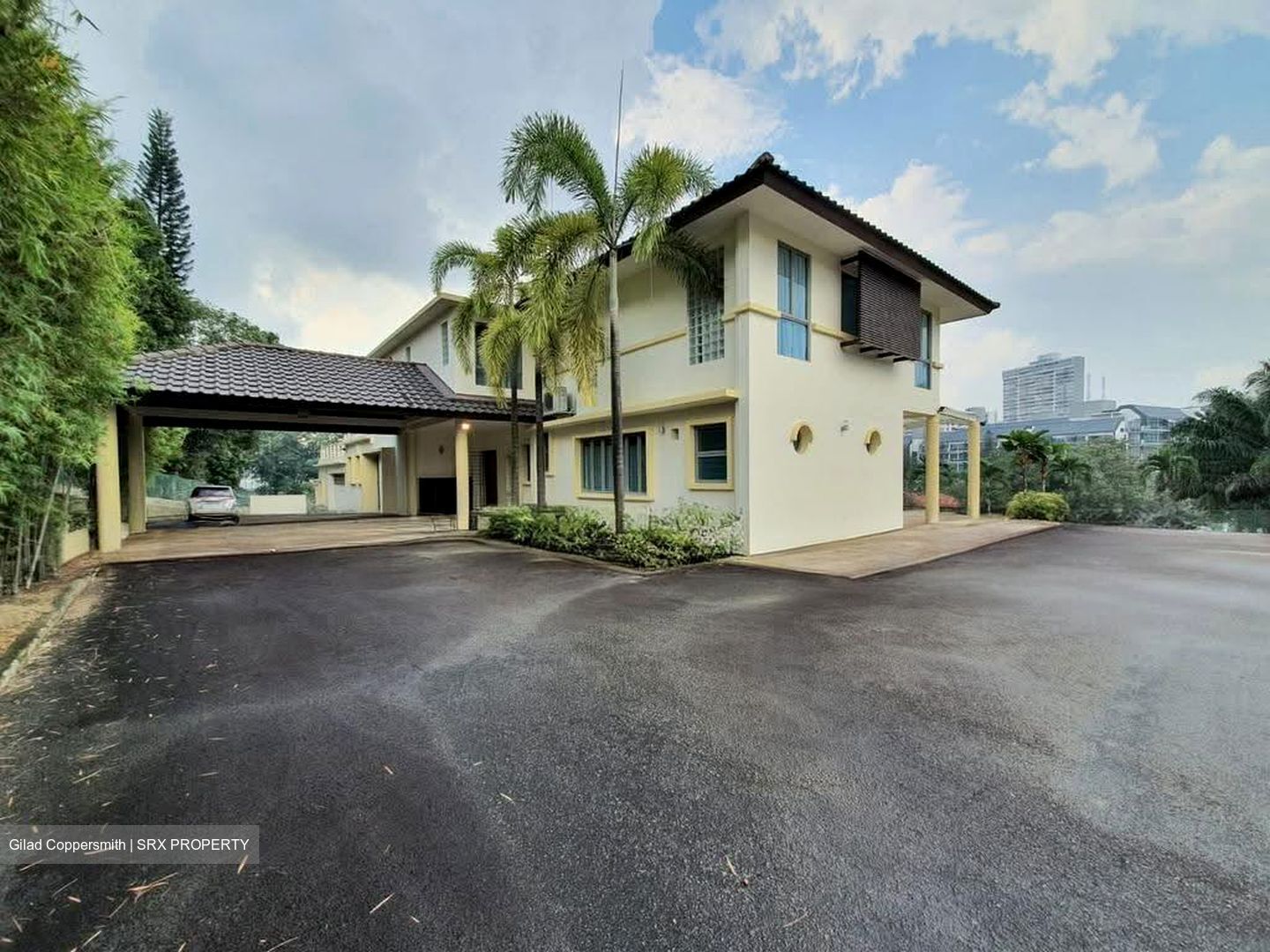King Albert Park (D21), Detached #639489821